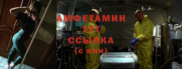 2c-b Инсар