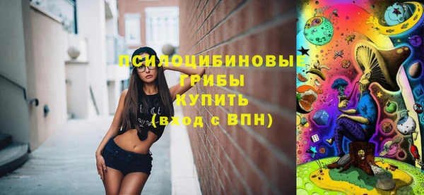 спиды Абаза