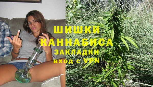 ешки Алзамай